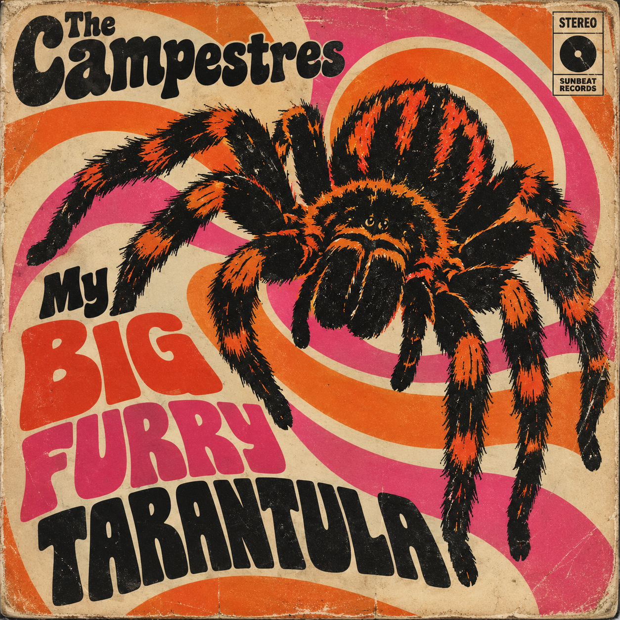 My Big Furry Tarantula